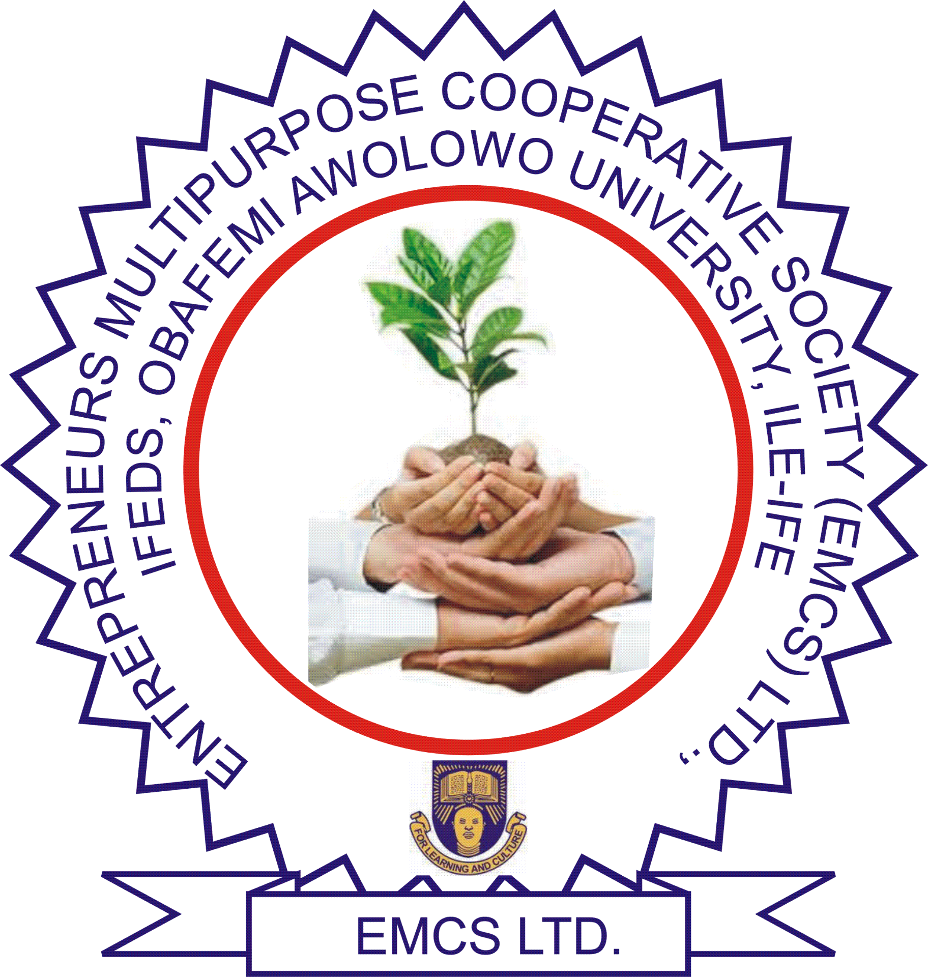 EMCS Ltd logo